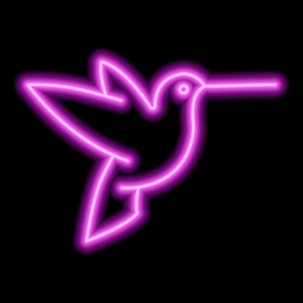 neon rosa översikt av kolibri på en svart bakgrund. ett objekt. vektor ikon illustration