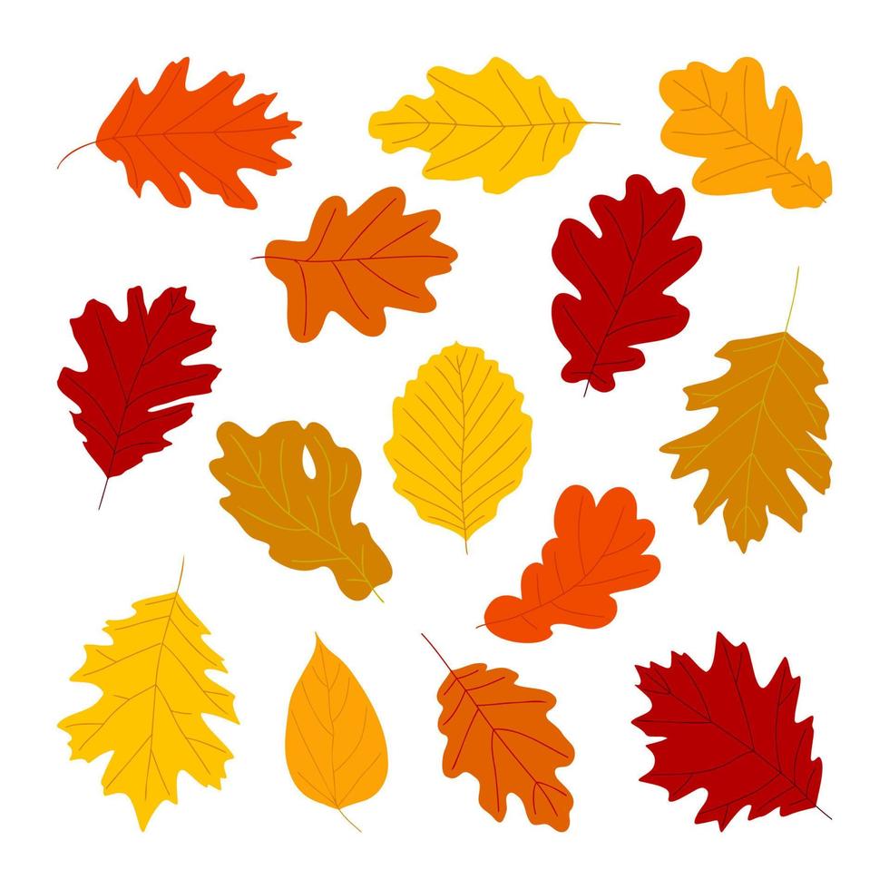 färgrik höst annorlunda löv. höstlig röd brun gul lövverk för kort, omslag, mönster. skön organisk ljus former design element. vektor illustration.