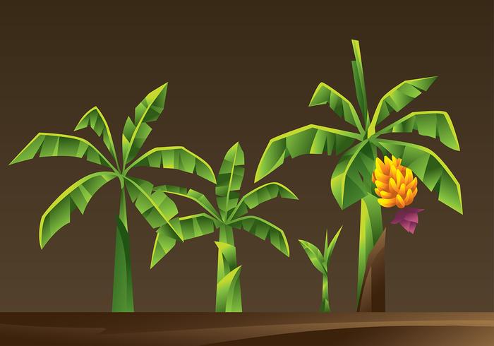 Banan Tree Cartoon Vector