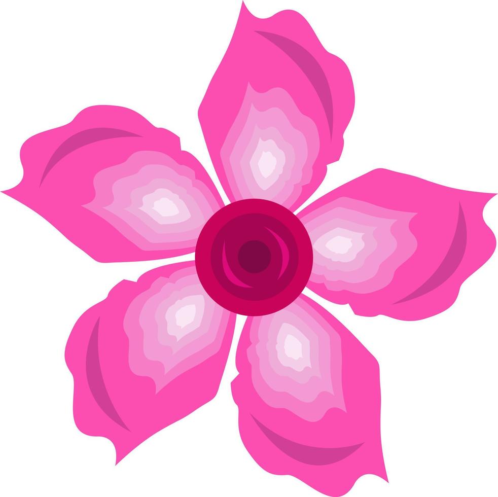 Mandevilla-Blumenvektorillustration für Grafikdesign und dekoratives Element vektor