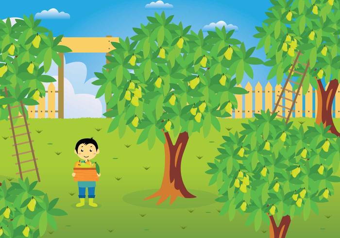 Gratis Mango Tree Illustration vektor