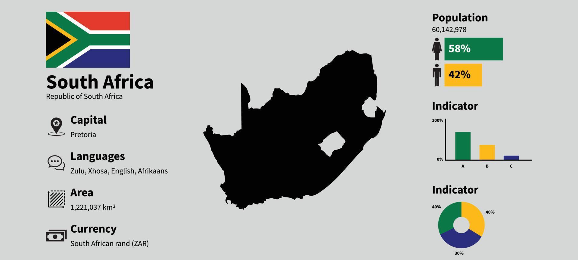 söder afrika Land faktum ark, infographic med Land statistik vektor