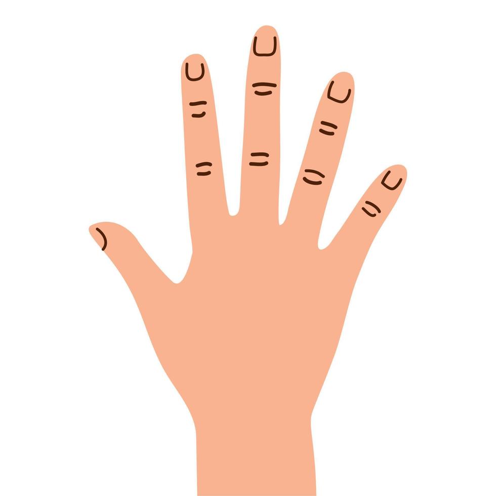 Hand menschliche Stoppgeste vektor