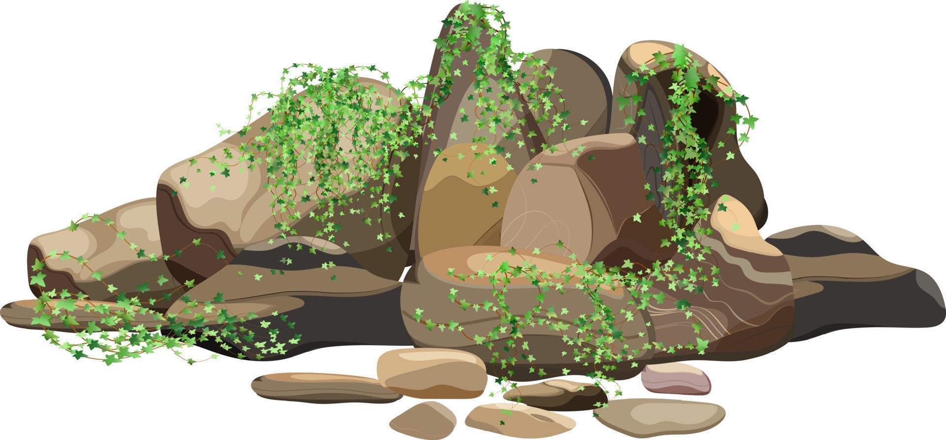 samling av stenar och växter av olika former.kustnära småsten, kullerstenar, grus, mineraler och geologisk formationer.rock fragment, stenblock och byggnad material. vektor