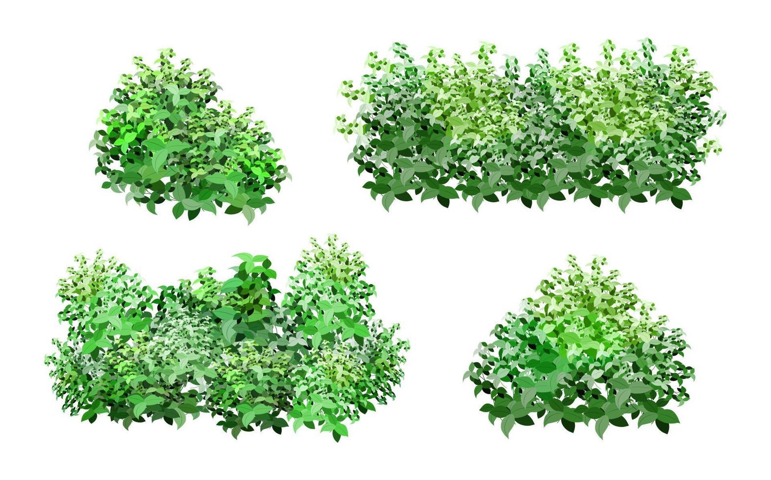 uppsättning av dekorativ grön växt i de form av en häck.realistisk trädgård buske, säsong- buske, buxbom, träd krona buske lövverk.för dekorera av en parkera, en trädgård eller en grön staket. vektor