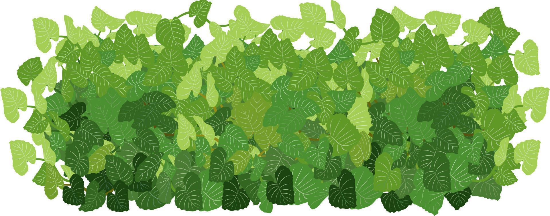 satz grüner zierpflanze in form einer hecke.realistischer gartenstrauch, saisonaler busch, buchsbaum, baumkronenbuschlaub. vektor