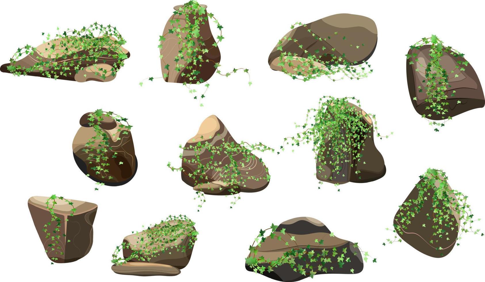 Sammlung von Steinen und Pflanzen verschiedener Formen. Küstenkiesel, Kopfsteinpflaster, Kies, Mineralien und geologische Formationen. Gesteinsfragmente, Felsbrocken und Baumaterial. vektor