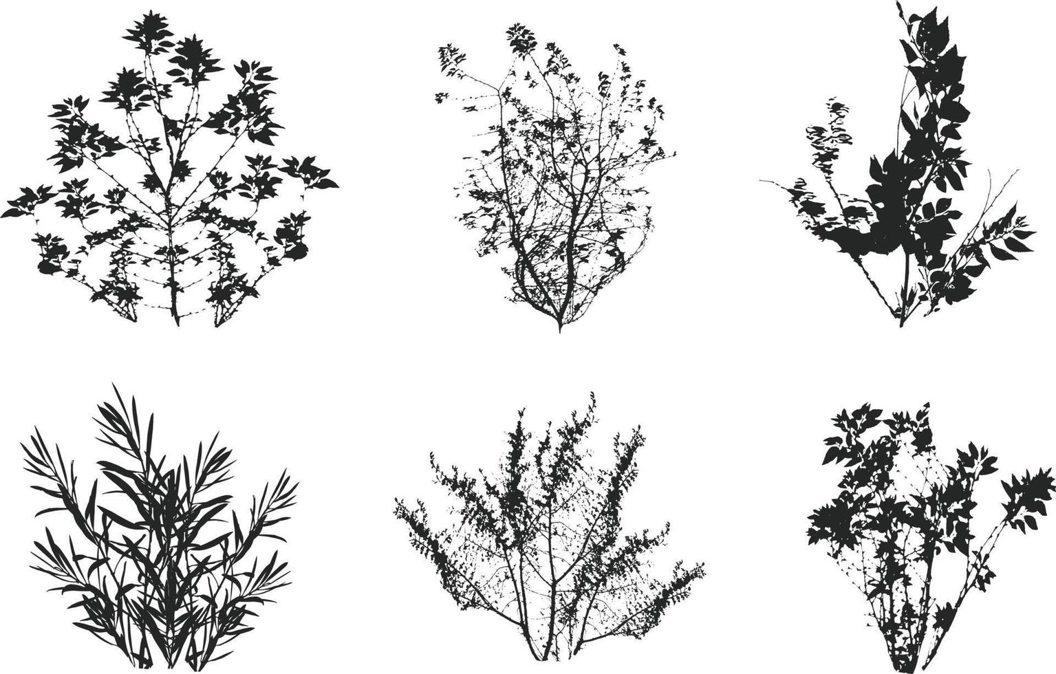 satz schwarzer zierpflanze in form einer hecke.realistischer gartenstrauch, saisonaler busch, buchsbaum, baumkronenbuschlaub. vektor