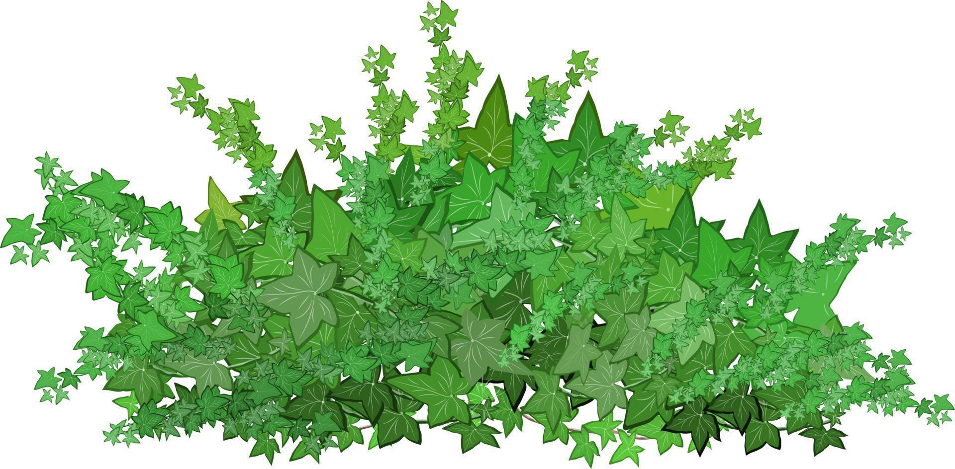 satz von dekorativen grünen pflanzen in form einer hecke. realistischer gartenstrauch, saisonaler busch, buchsbaum, baumkronenbuschlaub. zur dekoration eines parks, eines gartens oder eines grünen zauns. vektor
