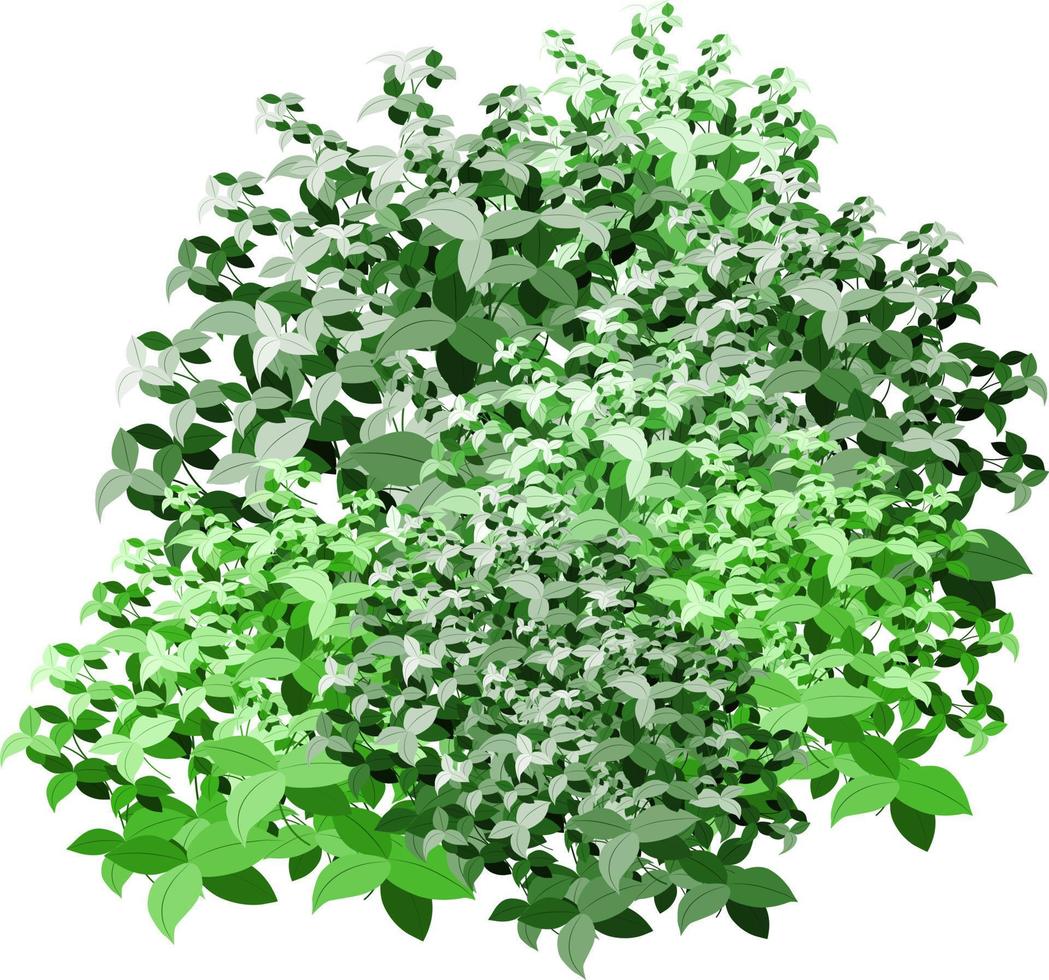 uppsättning av dekorativ grön växt i de form av en häck.realistisk trädgård buske, säsong- buske, buxbom, träd krona buske lövverk.för dekorera av en parkera, en trädgård eller en grön staket. vektor