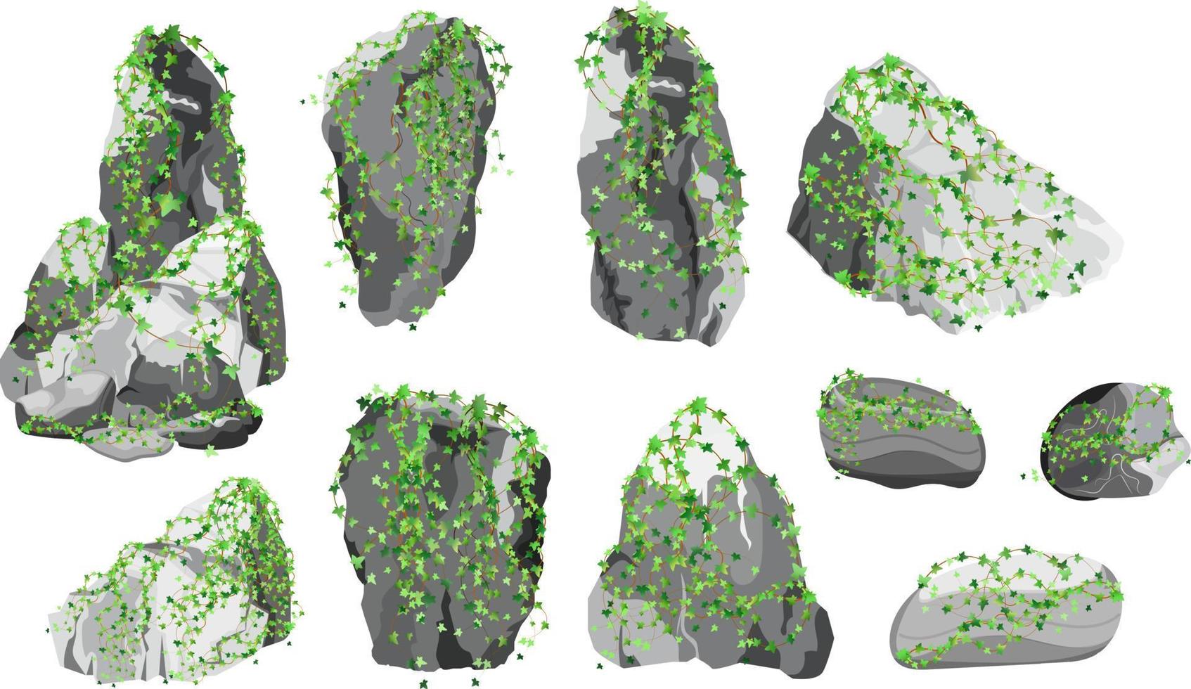 samling av stenar och växter av olika former.kustnära småsten, kullerstenar, grus, mineraler och geologisk formationer.rock fragment, stenblock och byggnad material. vektor