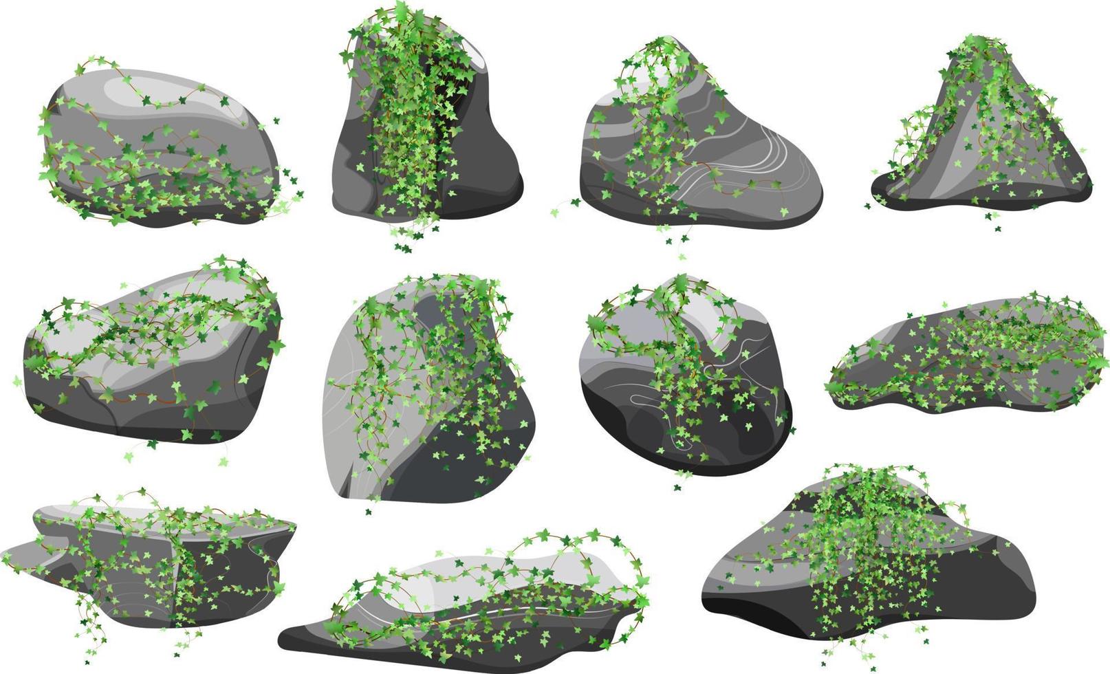 samling av stenar och växter av olika former.kustnära småsten, kullerstenar, grus, mineraler och geologisk formationer.rock fragment, stenblock och byggnad material. vektor