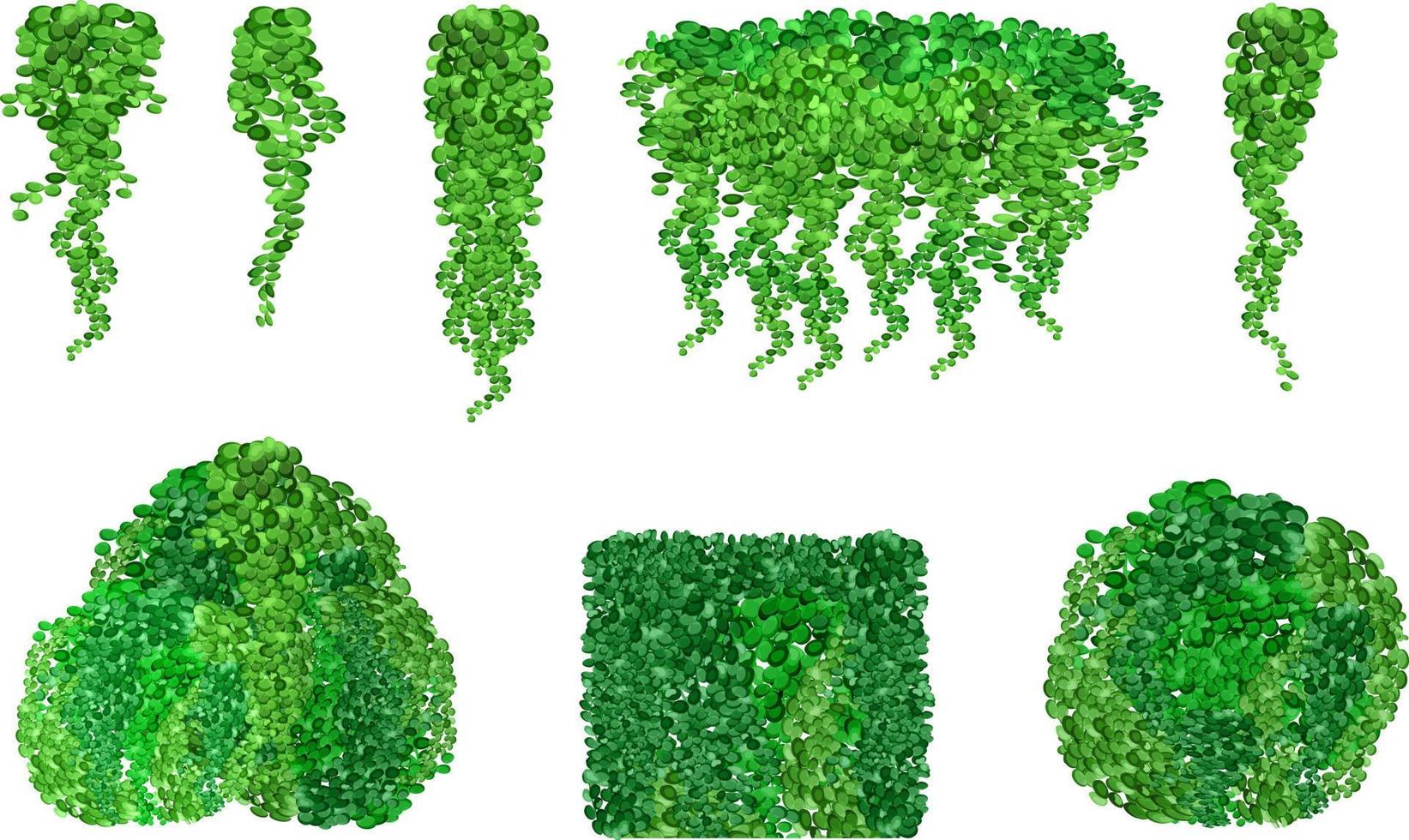 uppsättning av dekorativ grön växt i de form av en häck.realistisk trädgård buske, säsong- buske, buxbom, träd krona buske lövverk.för dekorera av en parkera, en trädgård eller en grön staket. vektor