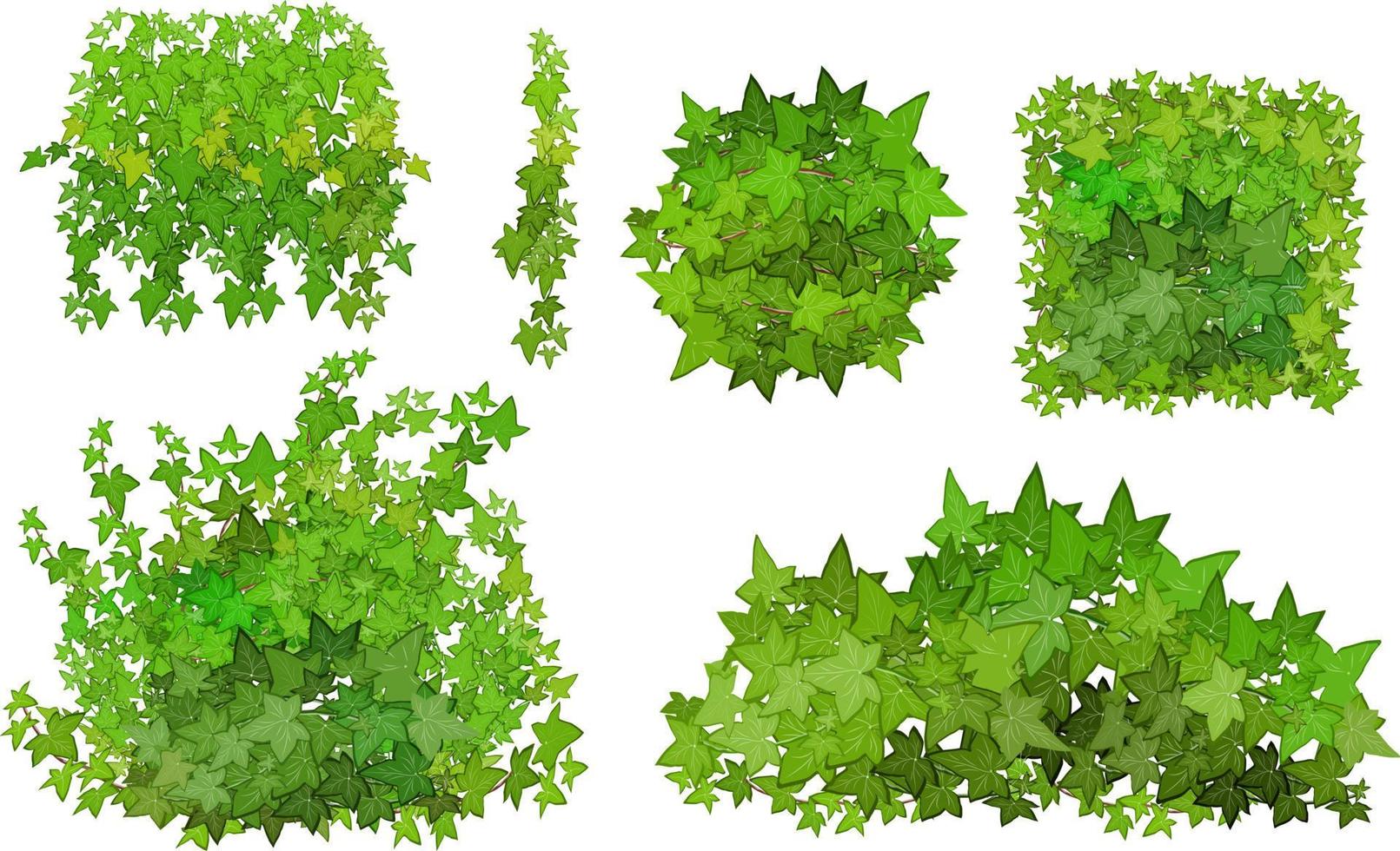 uppsättning av dekorativ grön växt i de form av en häck.realistisk trädgård buske, säsong- buske, buxbom, träd krona buske lövverk.för dekorera av en parkera, en trädgård eller en grön staket. vektor