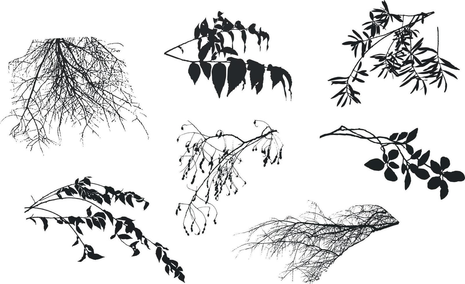 uppsättning av dekorativ svart växt i de form av en häck.realistisk trädgård buske, säsong- buske, buxbom, träd krona buske lövverk. vektor