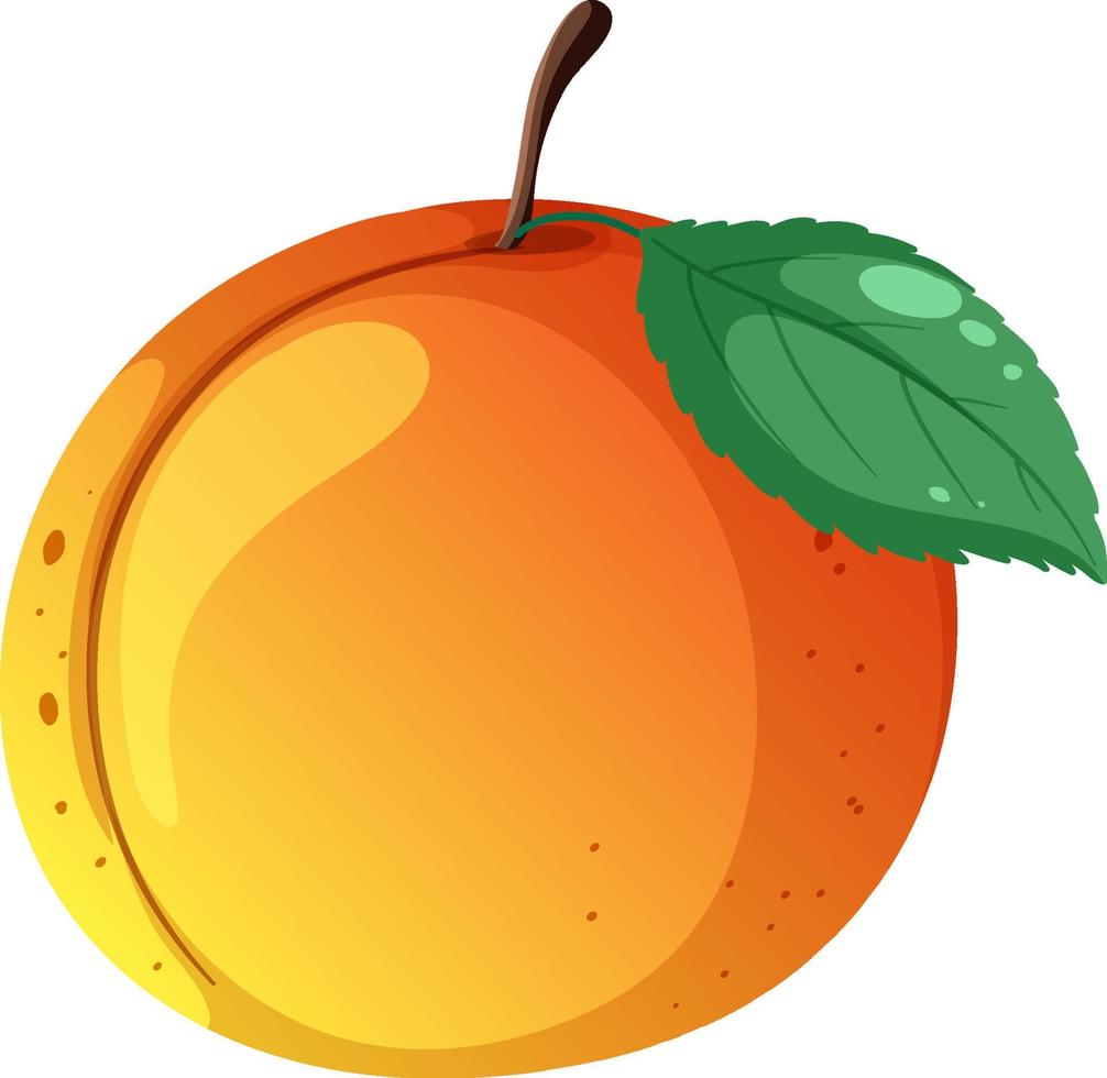 persika med en blad vektor