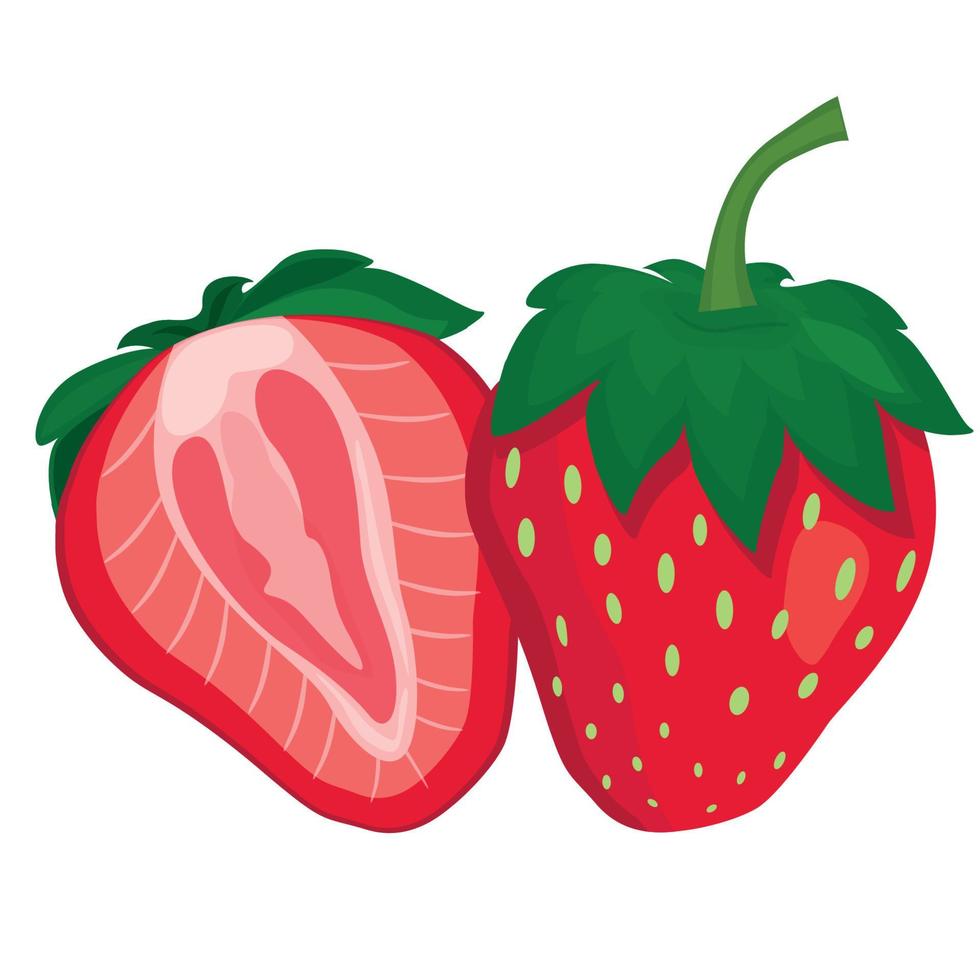 Erdbeeren und eine Scheibe Erdbeeren. vektorillustration für dekoratives plakat, naturproduktemblem, bauernmarkt. vektor