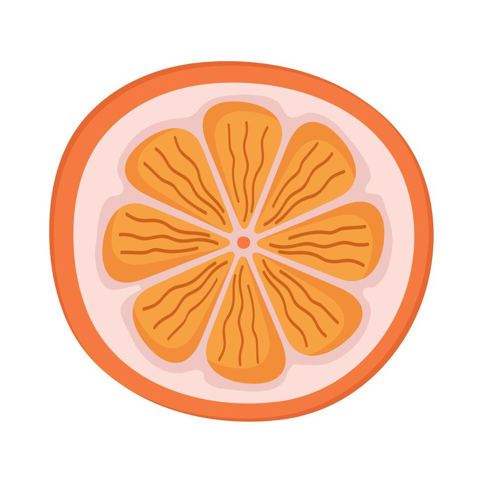 Orange halbe Frucht vektor