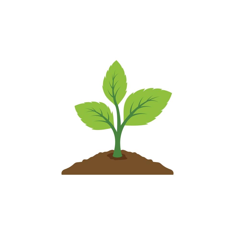 Symbolvektor für Pflanzen. Blatt wachsendes Design. Vektorsymbol für Saat und Aussaat. flaches Design wachsende Pflanze oder Baum-Logo-Symbol. Vektor-Illustration vektor