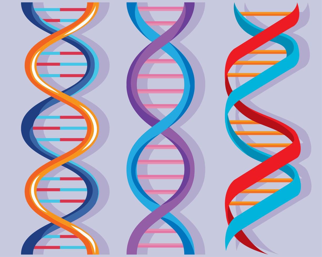 drei DNA-Moleküle vektor