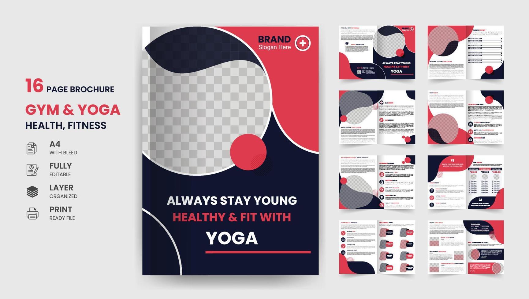 16 sida Gym yoga hälsa och kondition företag broschyr design vektor