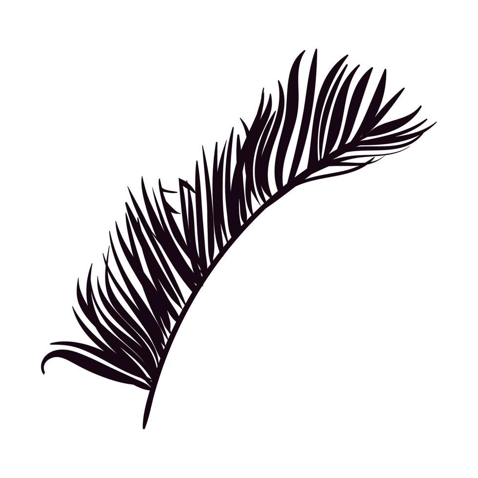 palm tropiskt blad vektor