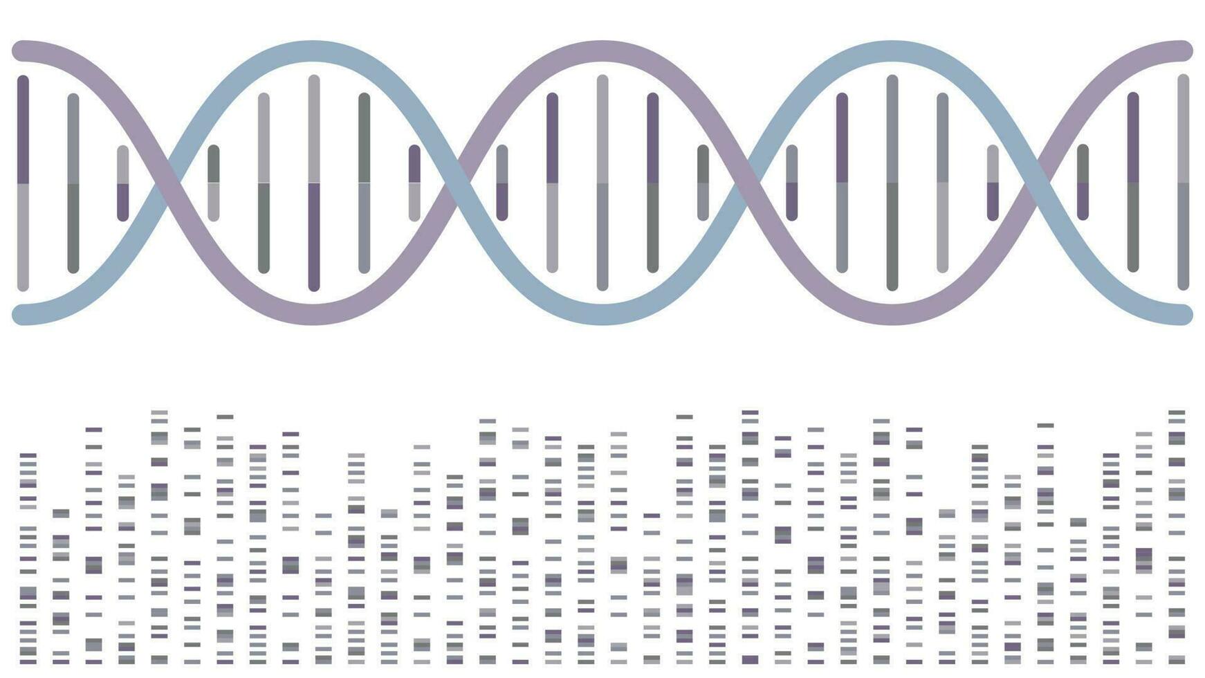 dna-doppelhelix mit sequenzierungsbändern, vektorillustrationshintergrund vektor