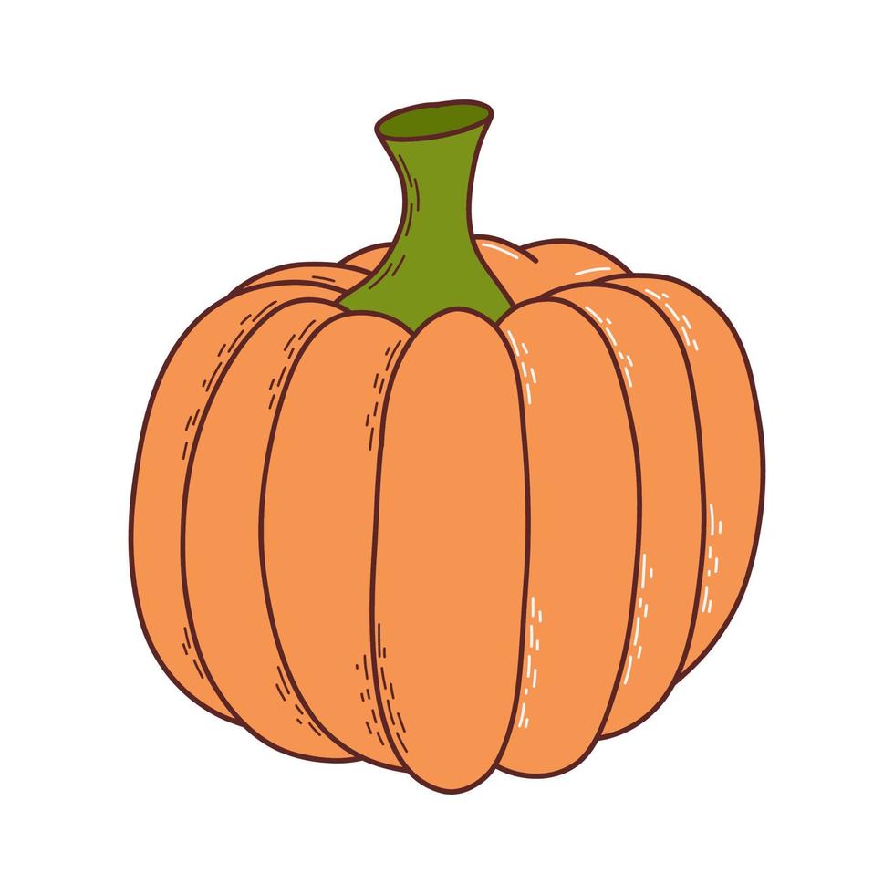 söt pumpa. tacksägelse och halloween element. vektor illustration i hand dragen stil