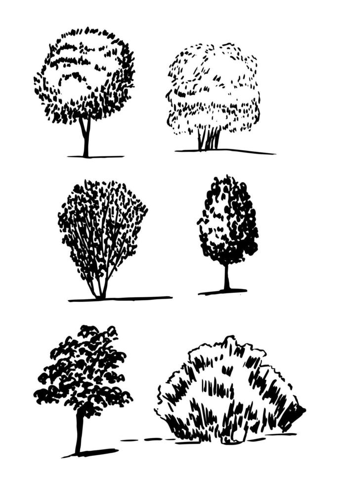 olika typer av träd vektor skiss set. handritade träd