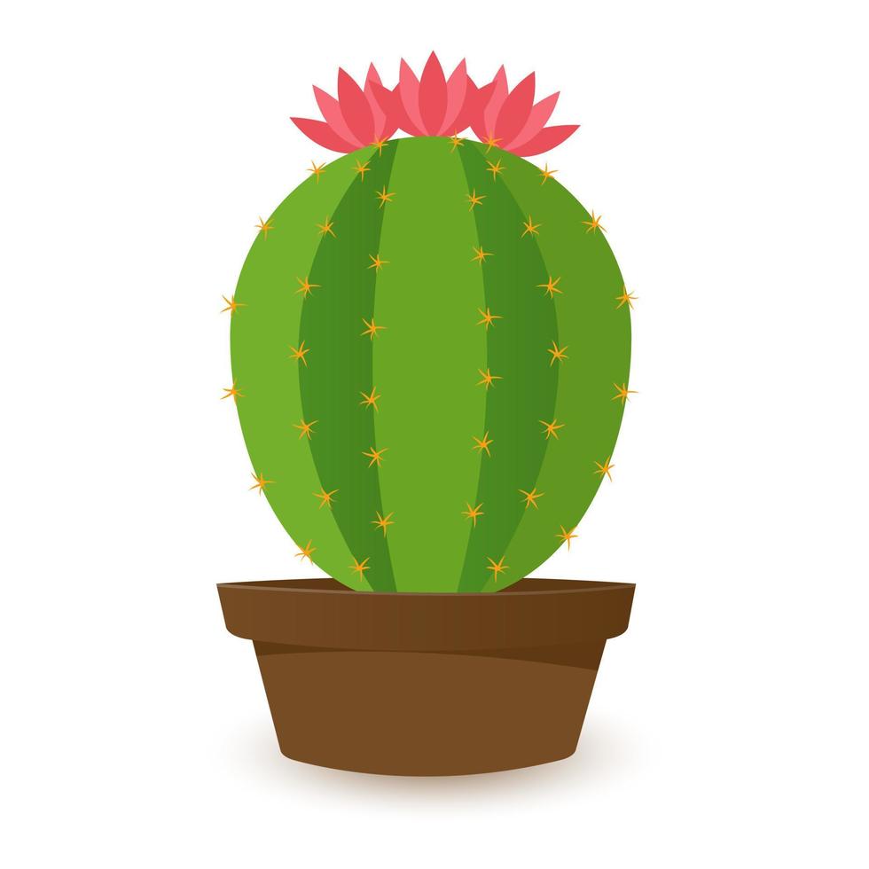 kaktus ikoner i platt stil på vit bakgrund. hemlagad kaktus i en pott och blommor. mängd av dekorativ kaktusar med taggar vektor