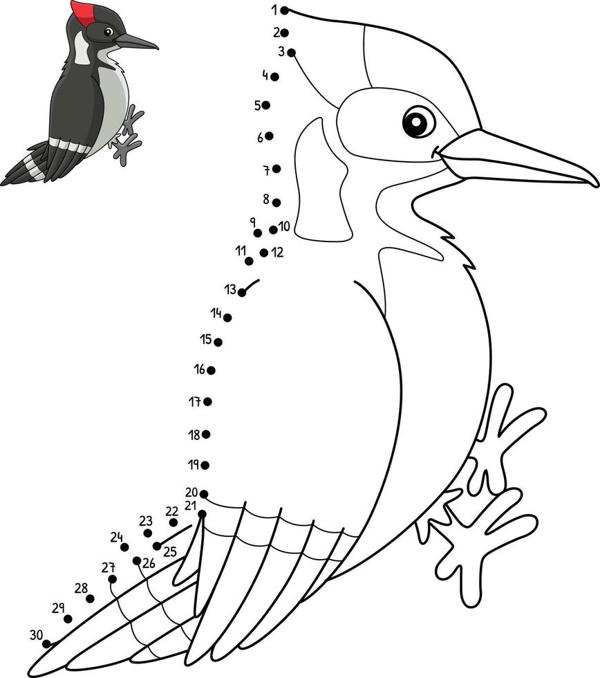 punkt zu punkt specht vogel isoliert farbseite vektor