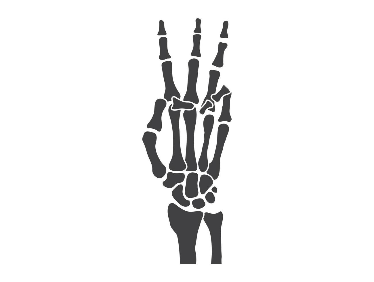 hand ben svart och vit mänsklig skelett ben händer vektor