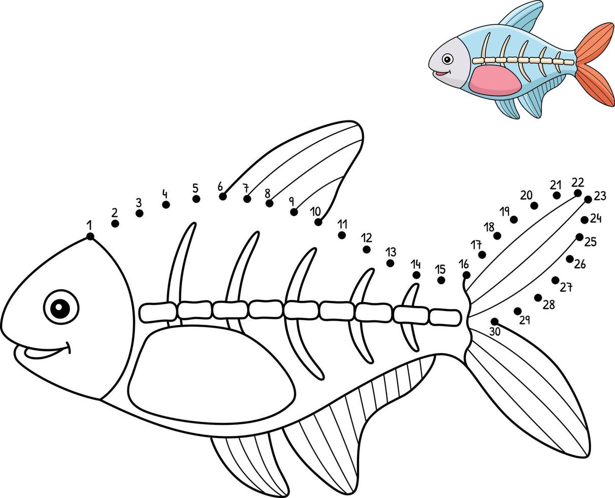 punkt zu punkt röntgen fisch tier isoliert färbung vektor