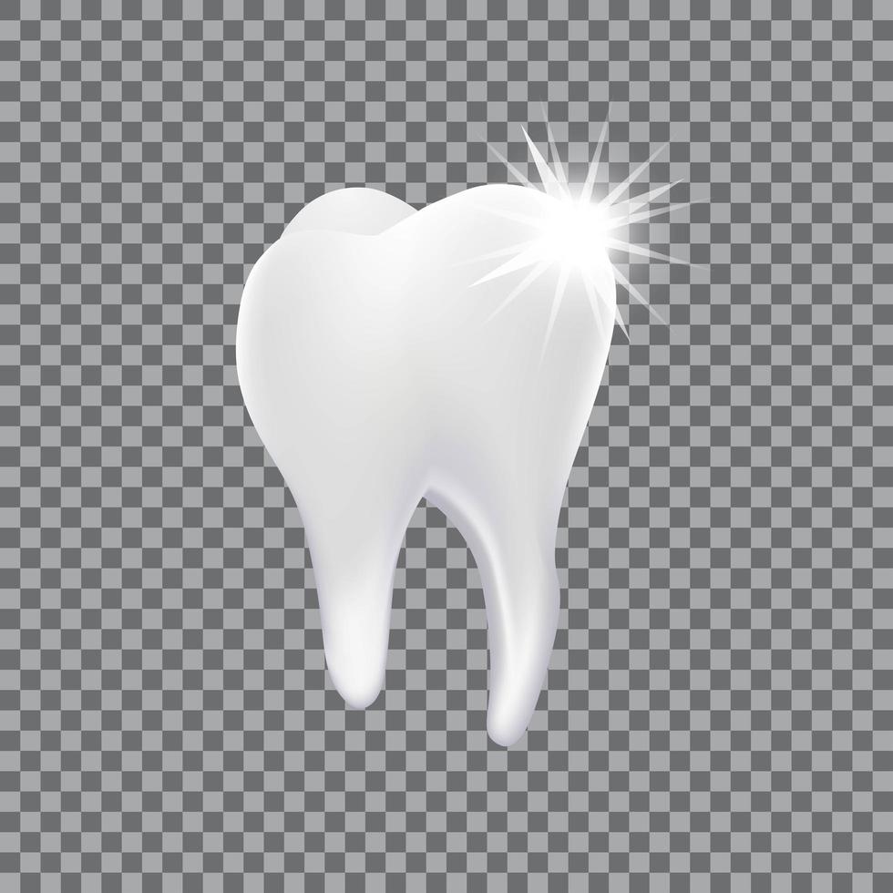 realistischer 3d Zahn isoliert vektor