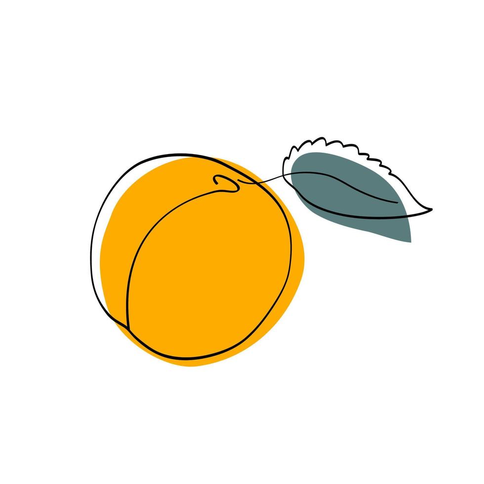 mörk gul aprikos med blad vektor