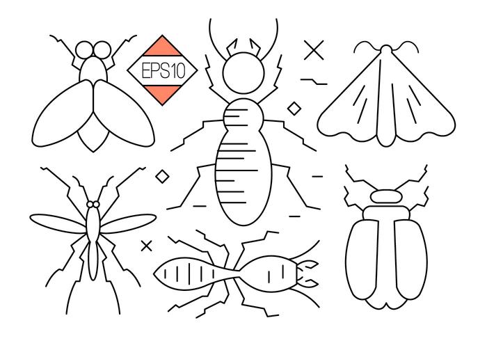 Insekter och insekter Vector ikoner