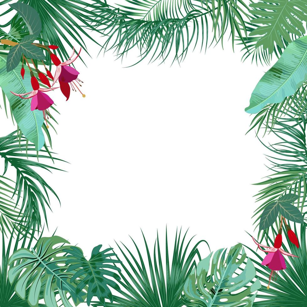 Vektor tropischer Dschungelbanner, Rahmen mit Palmen, Blumen und Blättern auf weißem Hintergrund