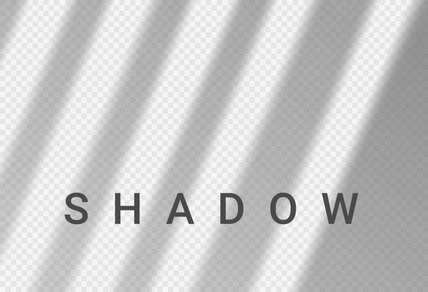 Schatten-Licht-Overlay-Fensterwand-Szenenmodell. Schatten transparenter Hintergrund vektor