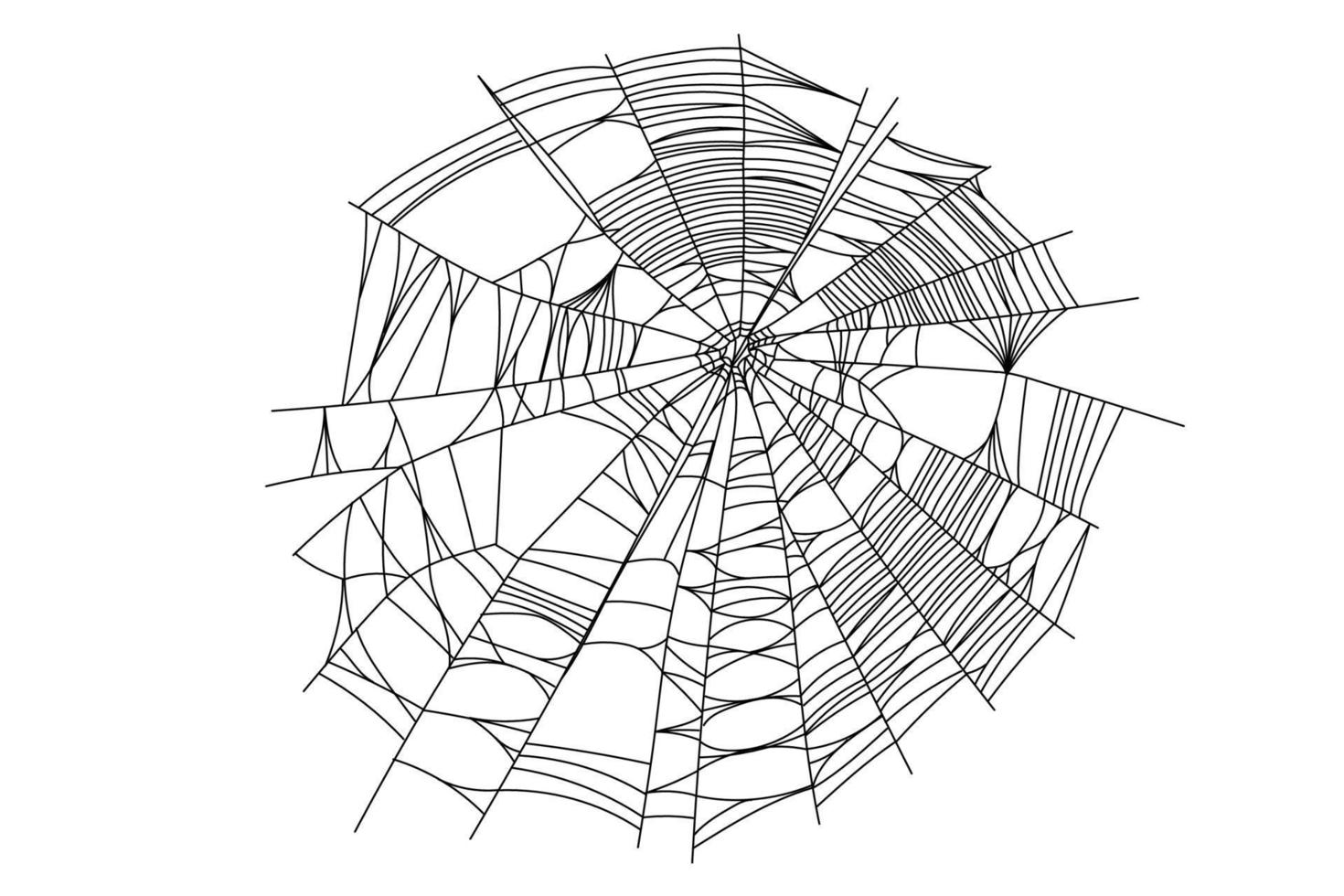 Teile des Spinnennetzes vektor