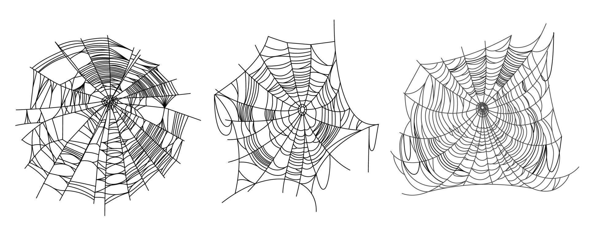 Spindel webb delar vektor