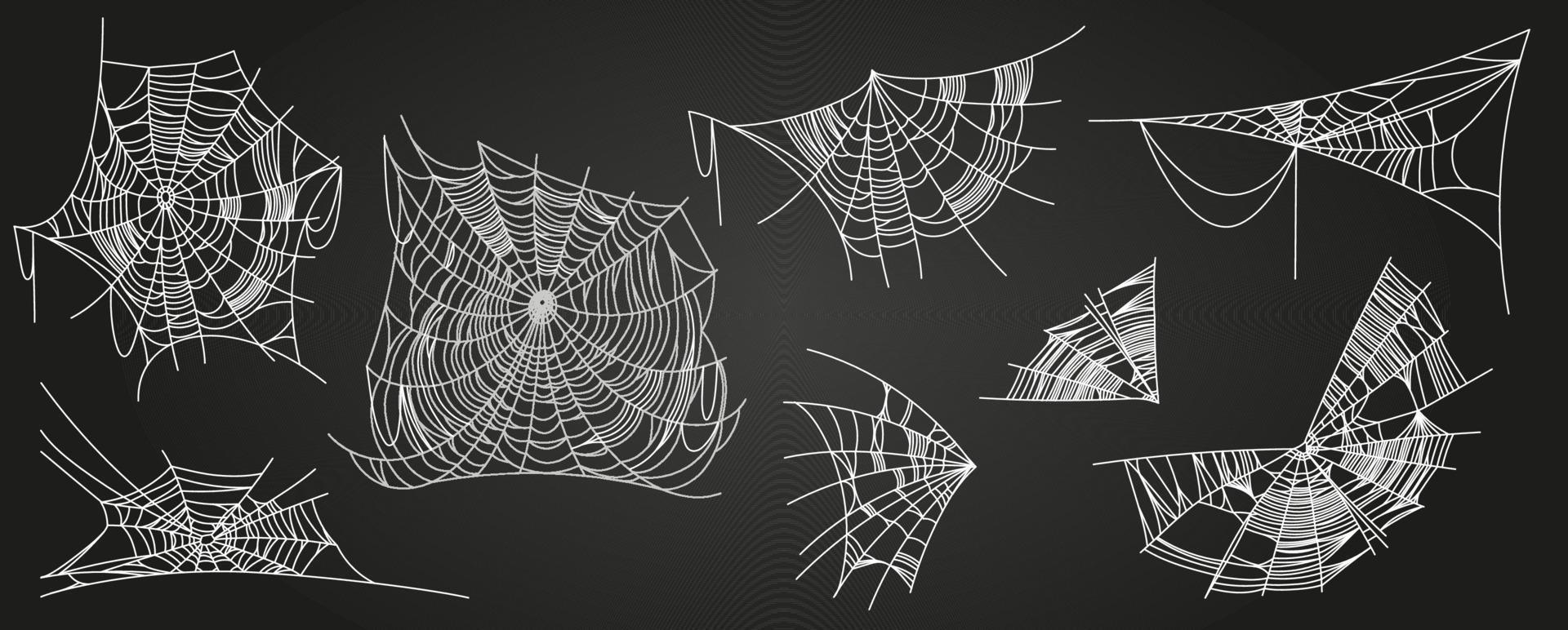 Teile des Spinnennetzes vektor