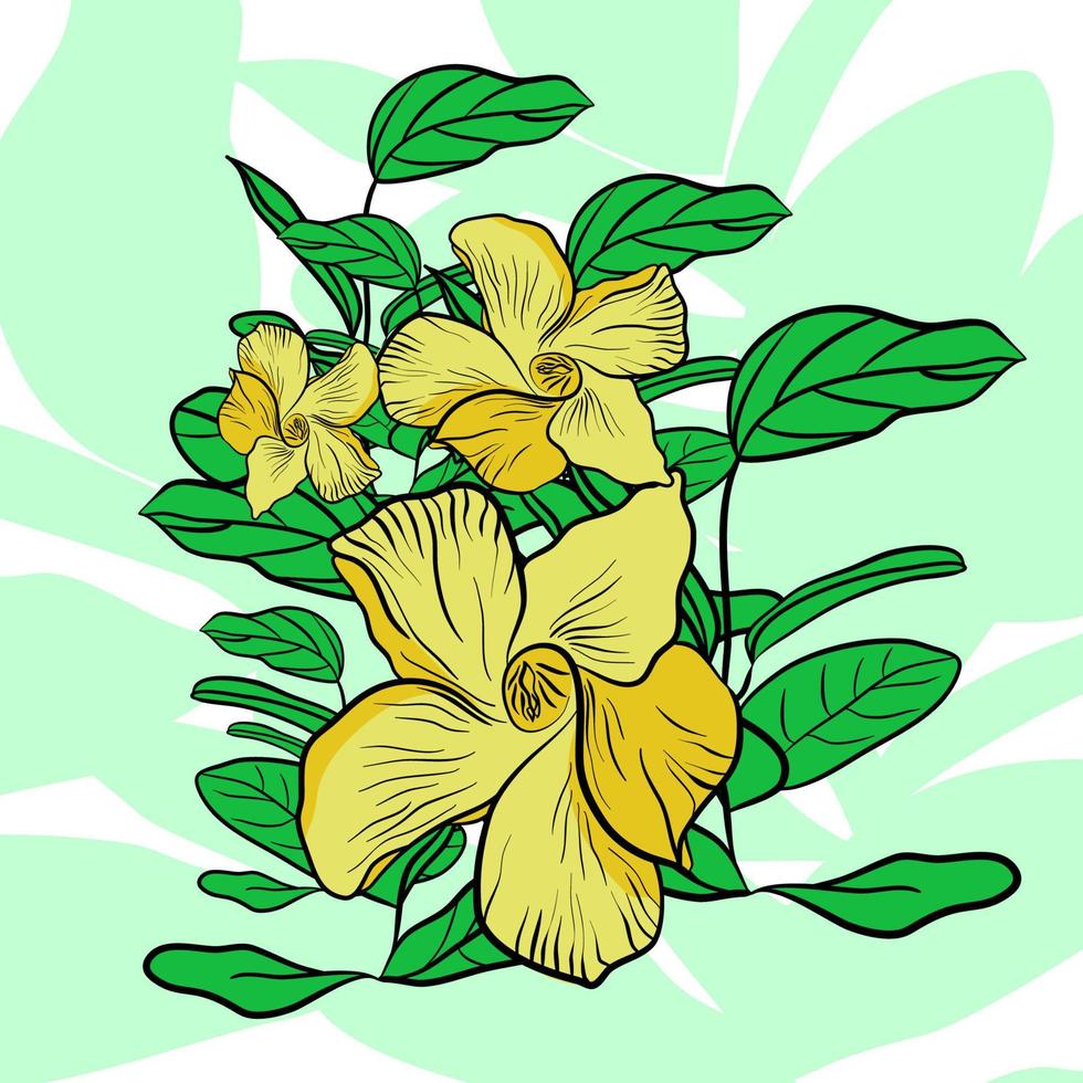 wilde Allamandra-Pflanze mit grünen Blättern und großen gelben Blüten in Flachtechnik vektor