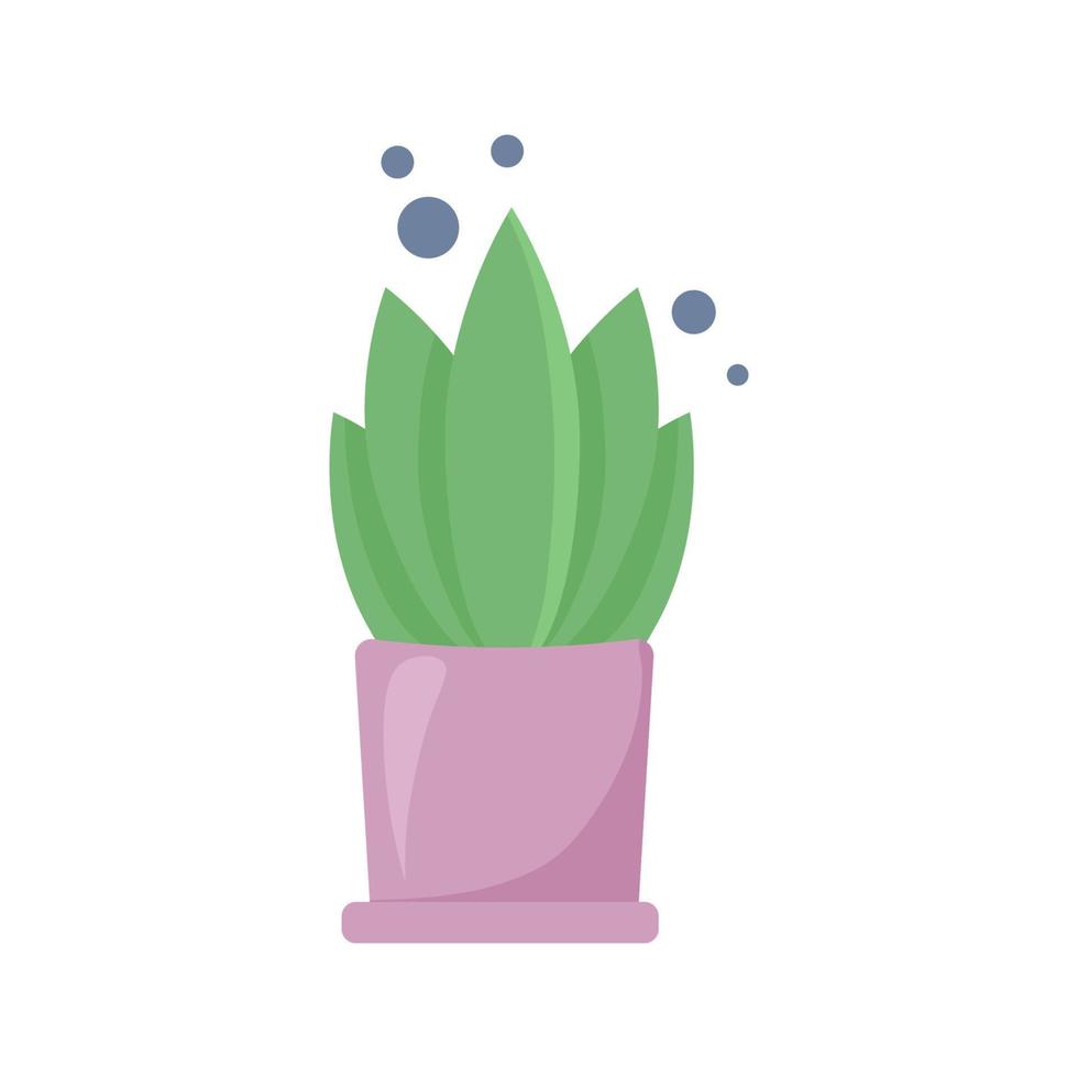 ein Topf mit einer Pflanze. isolierte Vektorillustration im flachen Stil auf weißem Hintergrund vektor