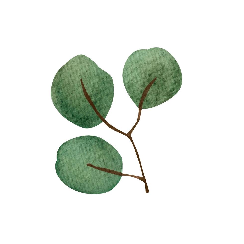 grüne Zweige und Blätter. aquarellillustration vektor