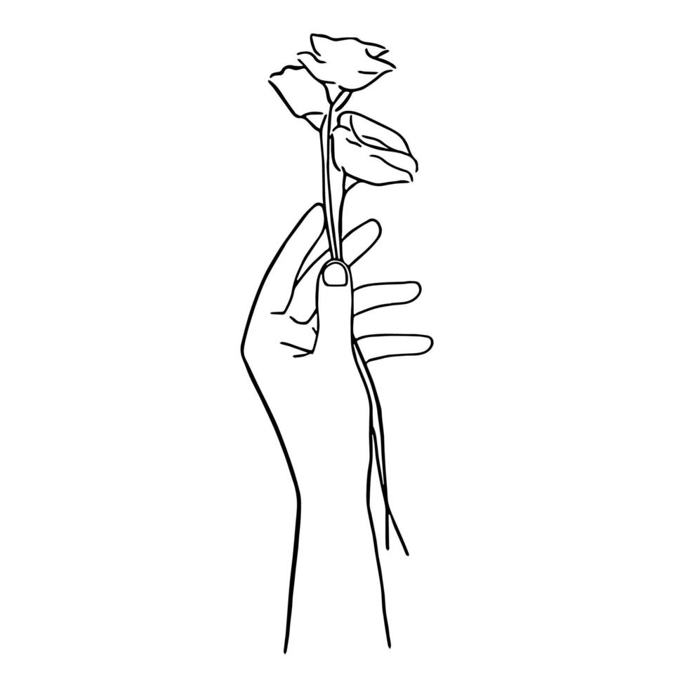 linje konst minimal av hand innehav blomma i hand dragen begrepp för dekoration, klotter stil vektor