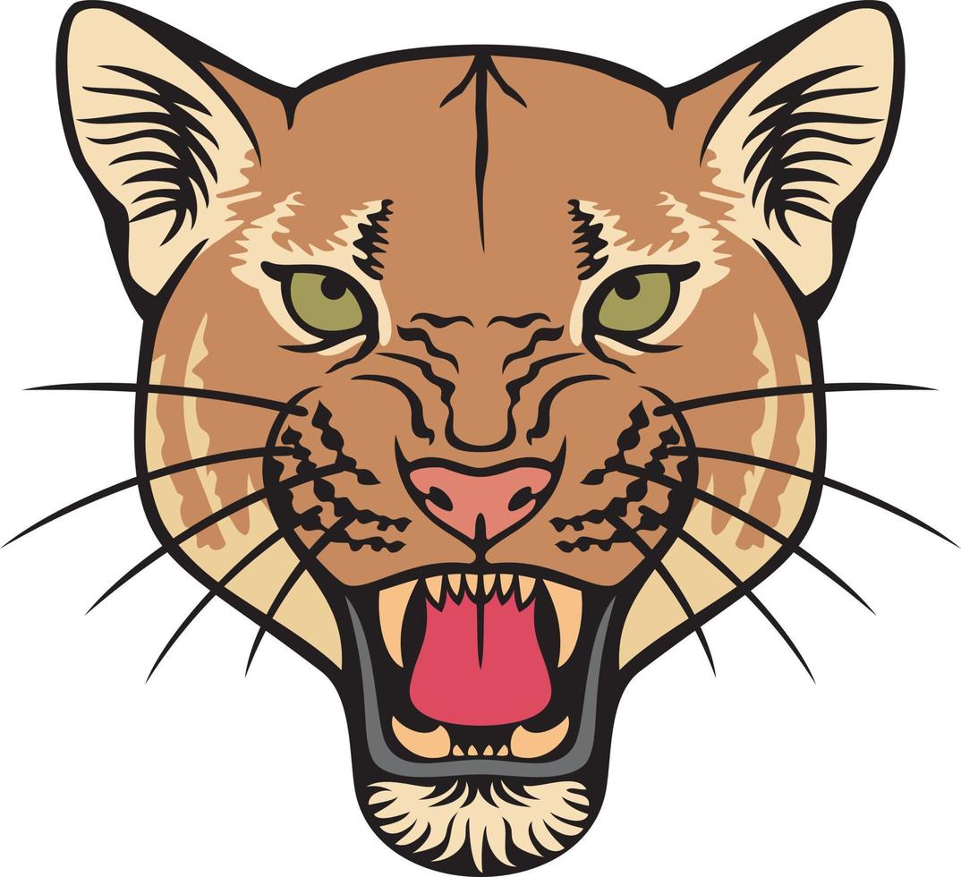cougar gesicht farbe vektor illustration