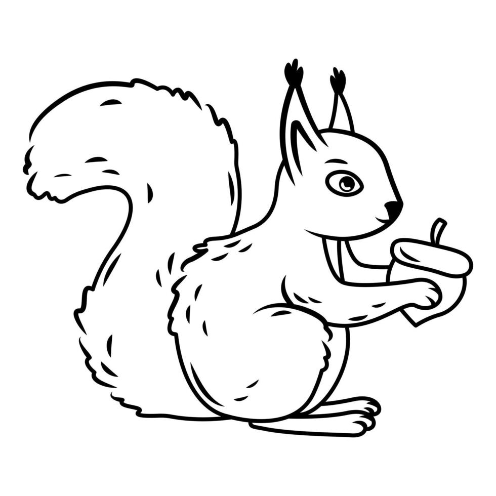 Ein süßes rotes Eichhörnchen sitzt wie eine Nuss in seinen Pfoten auf weißem Hintergrund. Konturbild. vektorillustration mit niedlichen waldtieren im karikaturstil. vektor