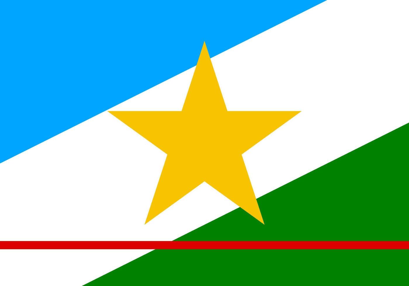 Roraima-Flagge, Bundesstaat Brasilien. Vektor-Illustration. vektor
