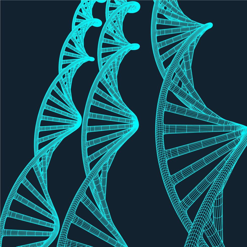 graue DNA mit Polygonlinie auf blauem Hintergrund. Polygonaler Raum Low Poly mit Verbindungspunkten und Linien. Verbindungsstruktur. Vektorwissenschaftshintergrund. vektor