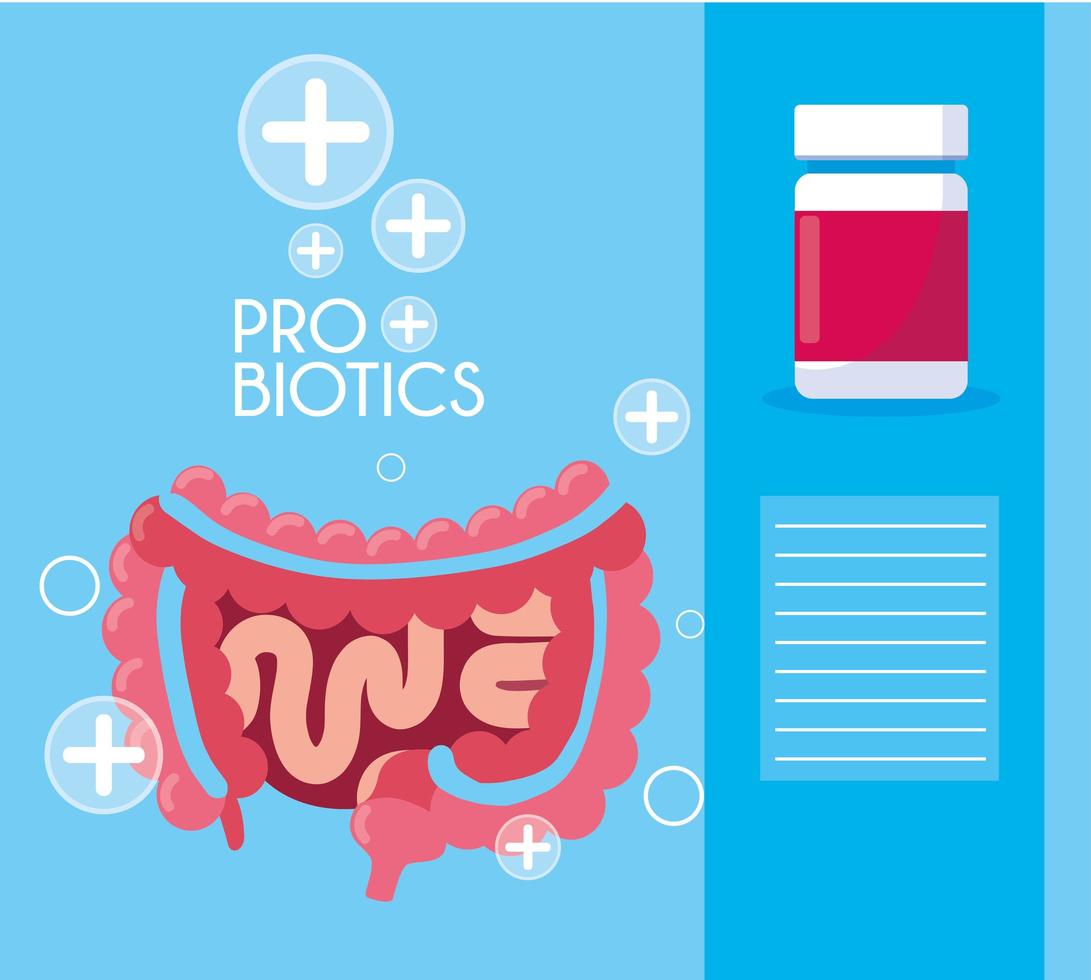 Verdauungssystem mit Probiotika-Kapseln vektor